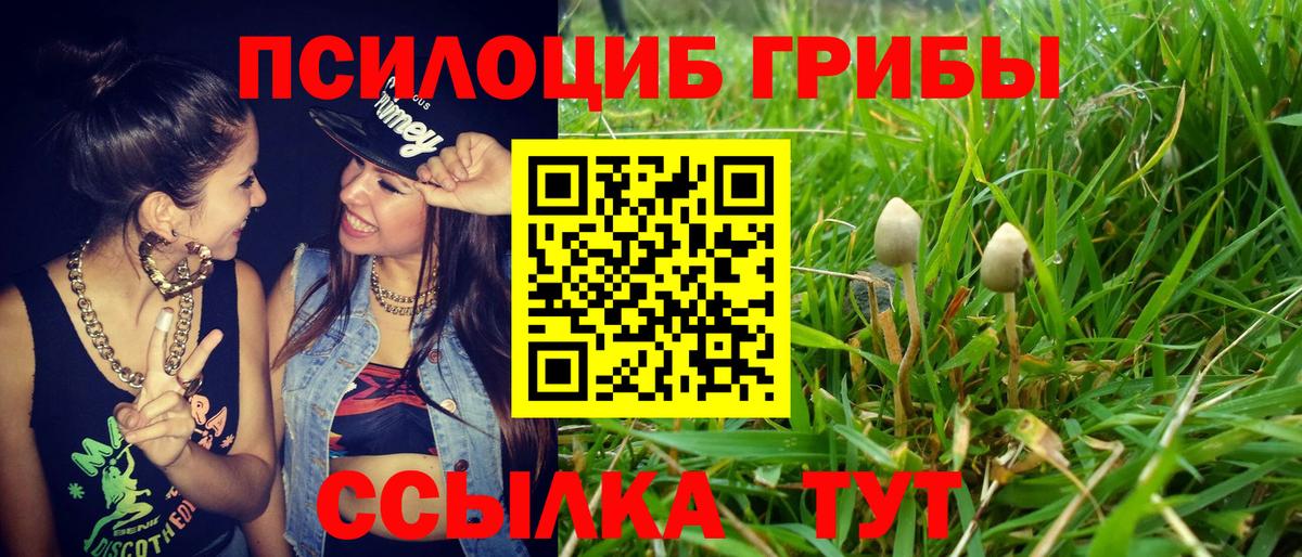 Галлюциногенные грибы Cubensis  где купить   Лабытнанги  Вход с VPN 